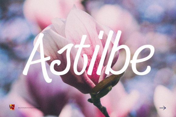 Enhance Your Brand with Astilbe: A Versatile Handwritten Font