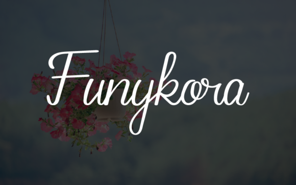 Enhance Your Brand with Funykora: A Sweet Handwritten Font