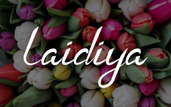 Laidiya: The Handwritten Font for Creative Makers