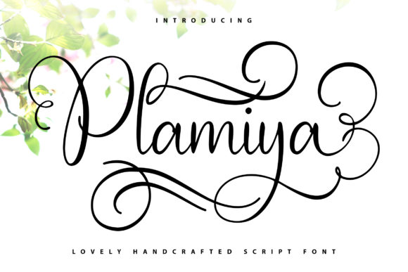 Plamiya: A Handwritten Font for Elegant Web Design