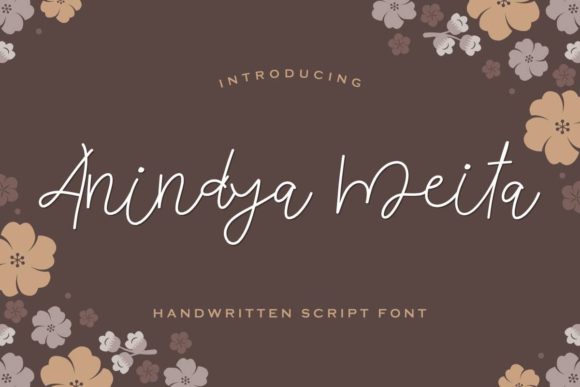 Review: Anindya Meita - A Versatile Handwritten Font for Marketers